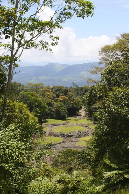 Turrialba Bed & Breakfast Kültér fotó