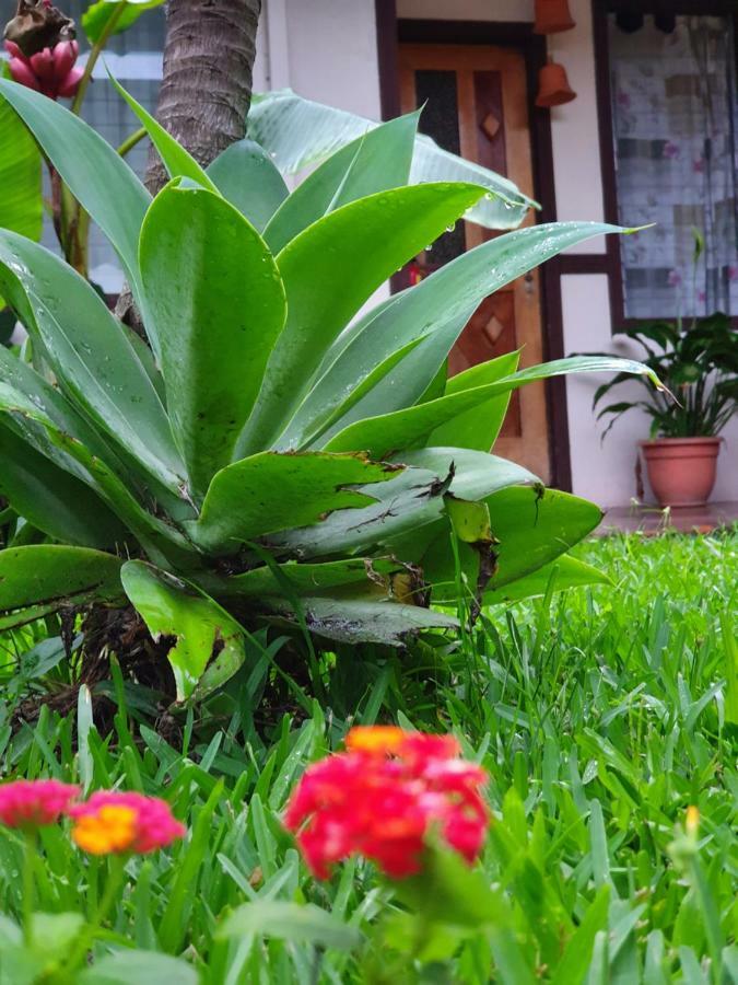 Turrialba Bed & Breakfast Kültér fotó